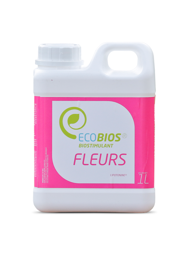 fleurs_ph