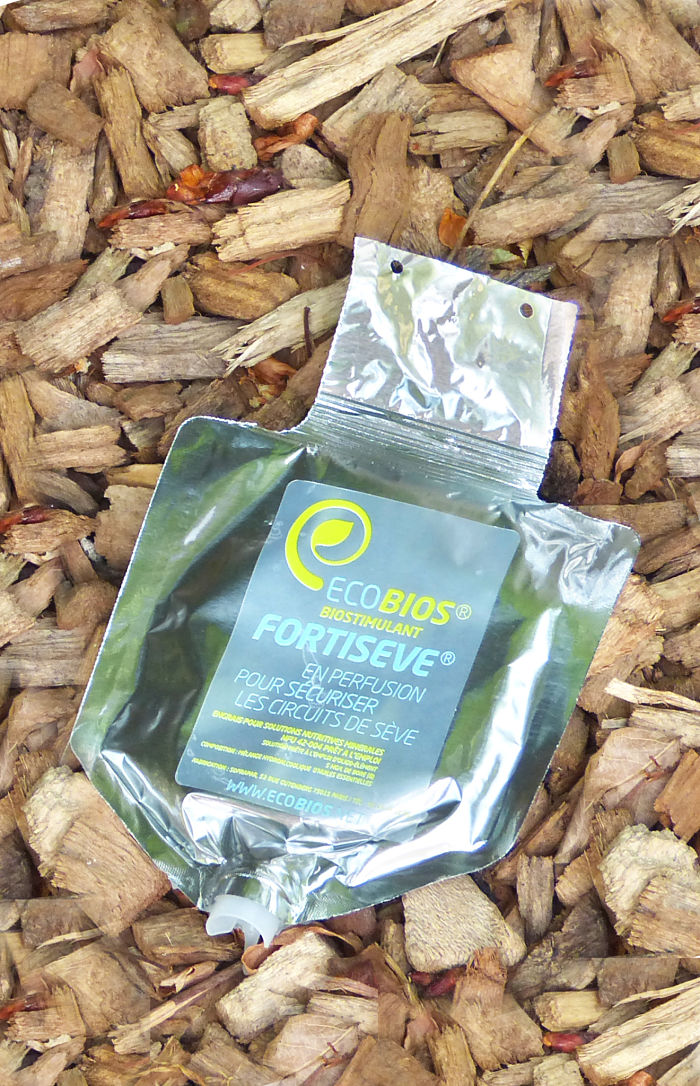 fortiseve foto web_opt